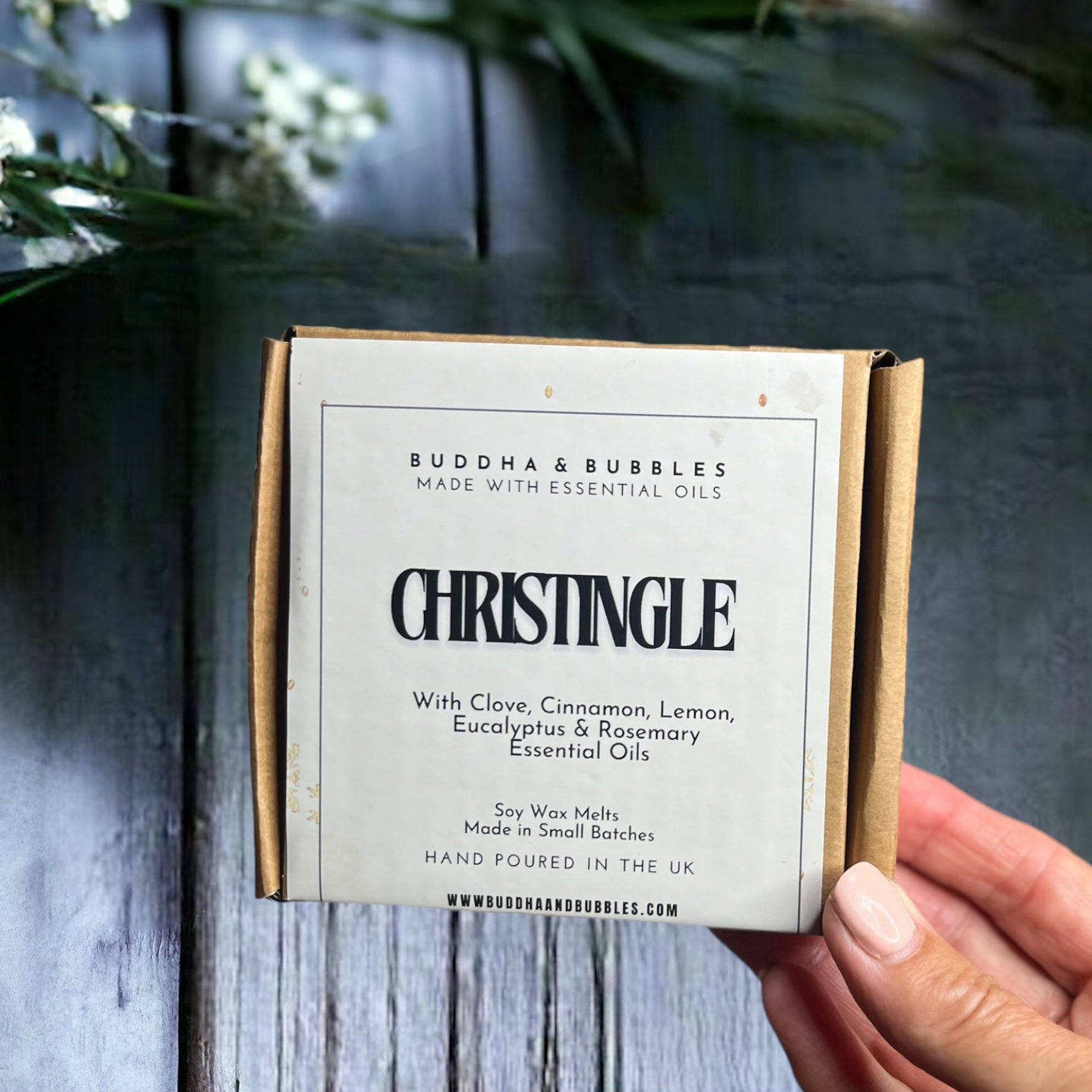 essential oil wax melts aromatherapy home fragrance with Clove Cinnamon Lemon Eucalyptus Rosemary 